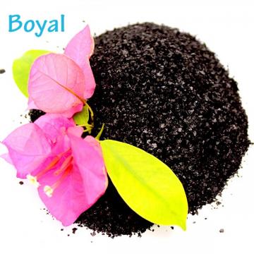 Best quality and natural seaweed powder